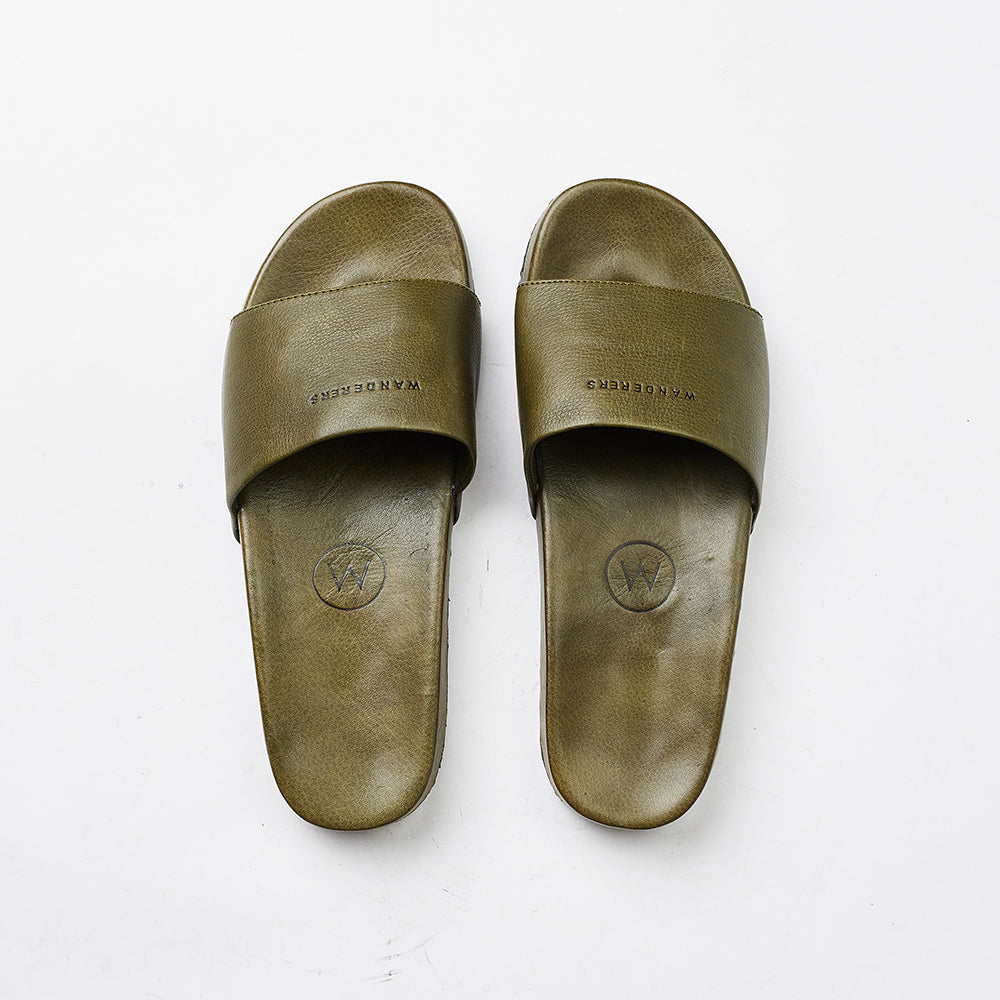 Olive